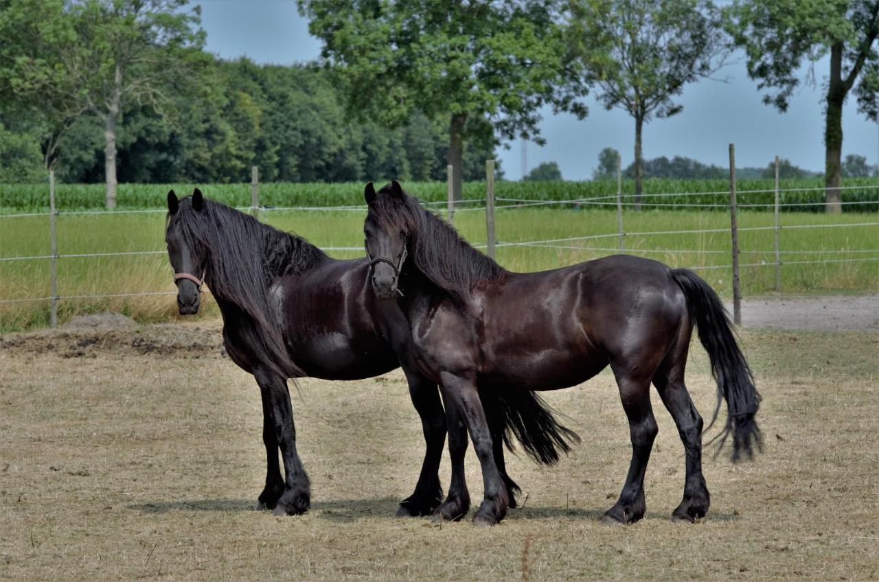 Bed And Breakfast Wouw Esterno foto